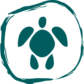 Turtle logo