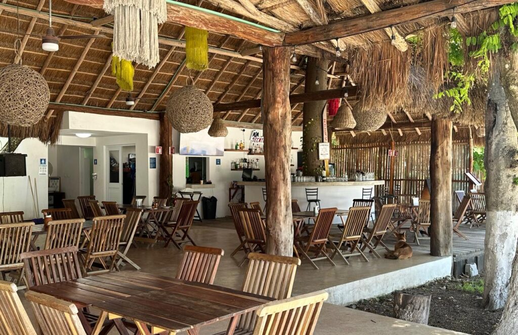 LIVE Music At El Nuevo Arrecife