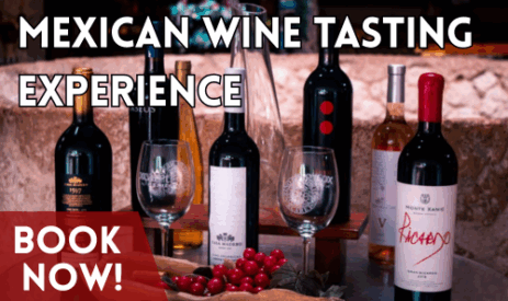 Mexican Wine Tasting Experience