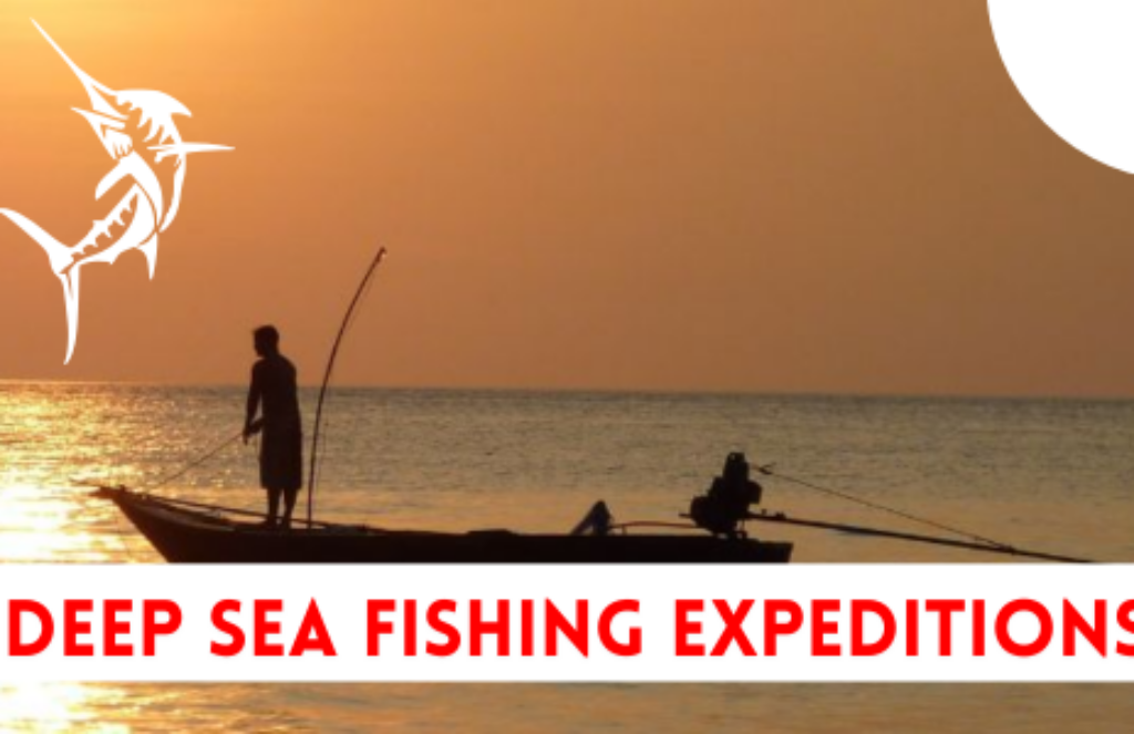 Deep Sea Fishing Expeditions