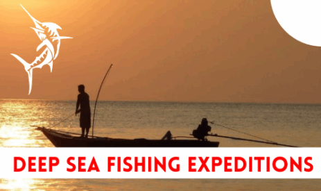 Deep Sea Fishing Expeditions