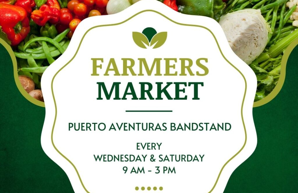 Farmers Market @ The PA Bandstand