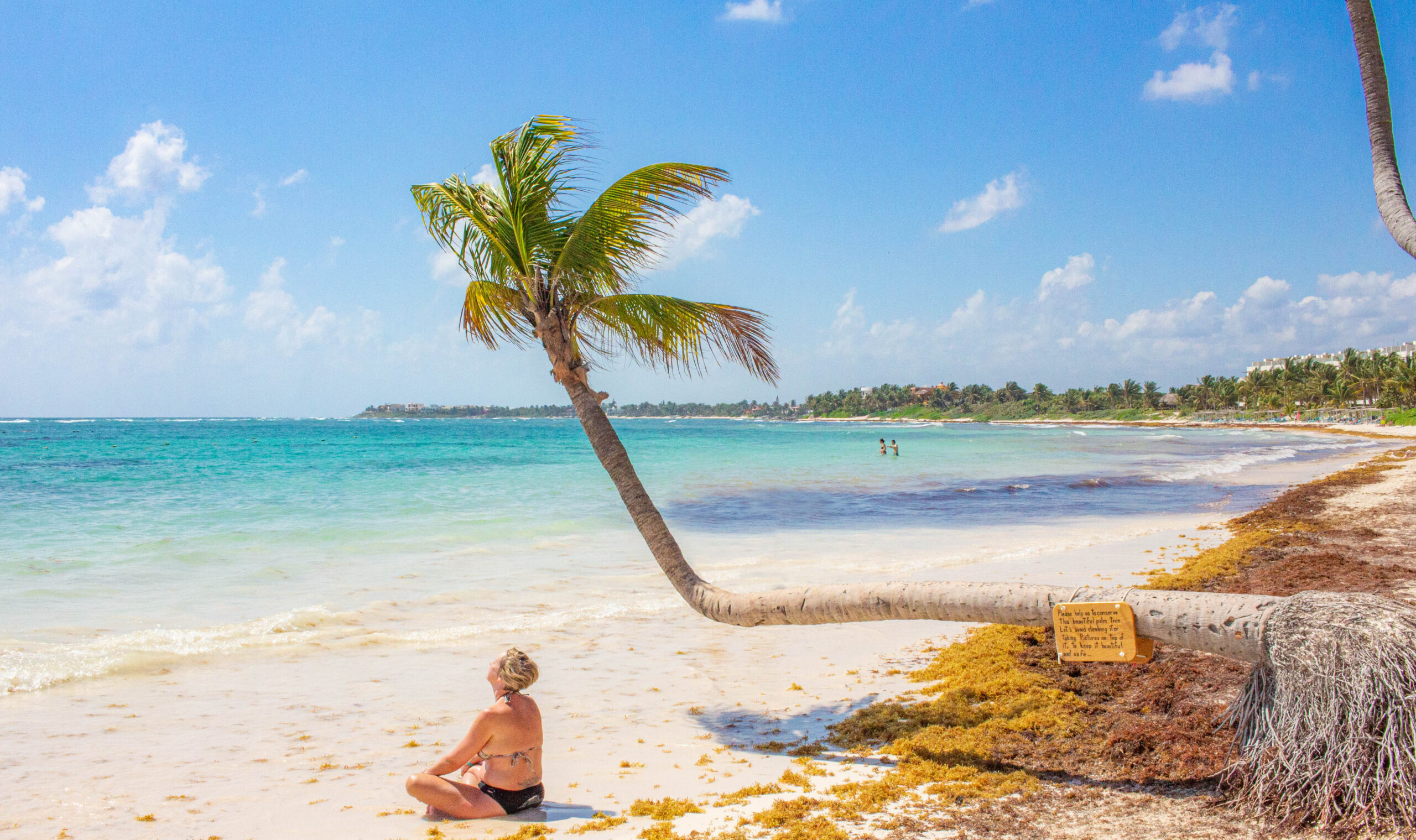 Sargassum Season in Riviera Maya: What to Expect and How to Enjoy Your ...